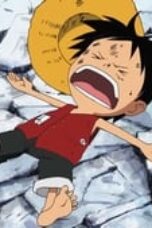 One Piece Season 9 Episode 306