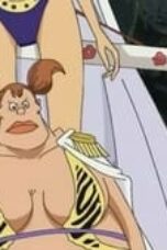 One Piece Season 12 Episode 408