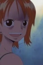 One Piece Season 6 Episode 147