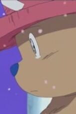One Piece Season 3 Episode 91
