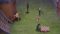 One Piece Season 10 Episode 353
