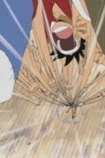One Piece Season 1 Episode 29