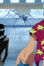 One Piece Season 9 Episode 274