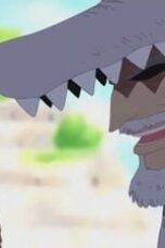 One Piece Season 9 Episode 315