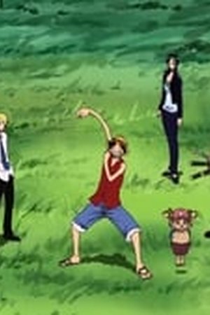 One Piece Season 7 Episode 209