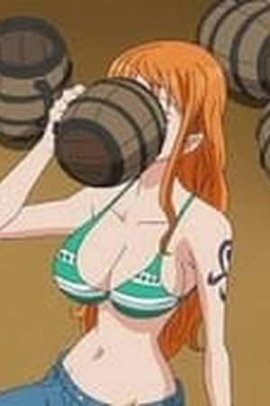 One Piece Season 14 Episode 569