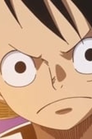 One Piece Season 18 Episode 790