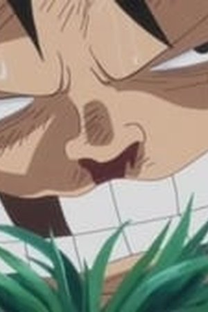 One Piece Season 19 Episode 811