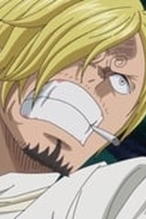 One Piece Season 19 Episode 848