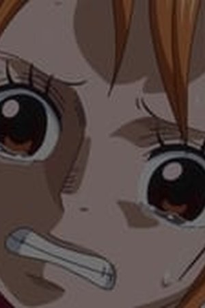 One Piece Season 19 Episode 853