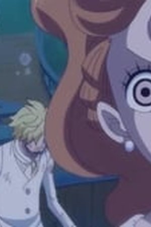 One Piece Season 19 Episode 876