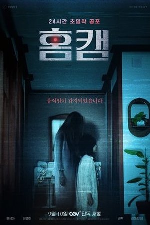Homecam ( 2025 ) - Poster