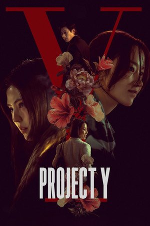 Project Y (2026) - Poster