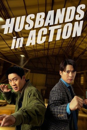 Husbands in Action (2026) - Poster